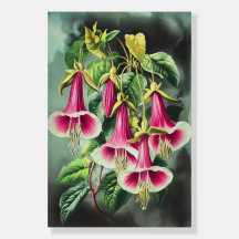 1359 Energia Floral, Elétrica