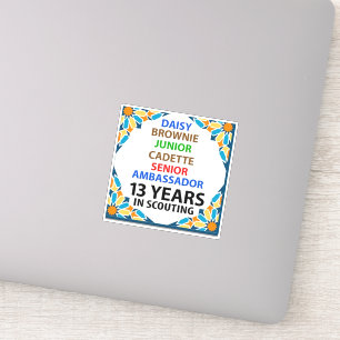 13 anos no adesivo de escuta