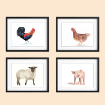 14x11 Animais de Exploração Cultivada Acondicionad