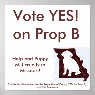 15" por 15" - SIM! no Prop B Poster