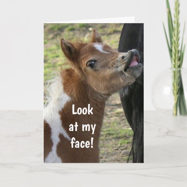 **16.º ANIVERSÁRIO** Cartão de PONY SOBERANTE (Frente)