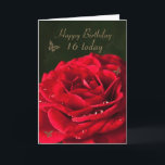 16.º Cartão de Aniversário com uma rosa vermelha c<br><div class="desc">Uma rosa vermelha de solteiro para uma bela placa de eterno.</div>