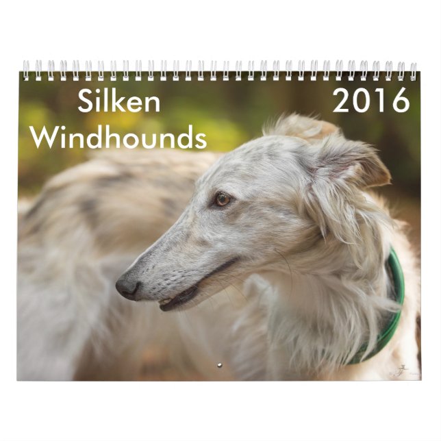 16 2016 calendários macios de Windhounds (Capa)