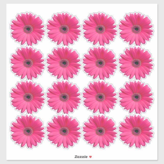 16 adesivos de flores de Gerbera Rosa no formato k (Folha)