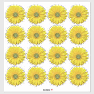 16 Adesivos Recortados de Flor de Gerbera Amarela