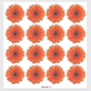 16 adesivos recortados de flores de gerbera laranj