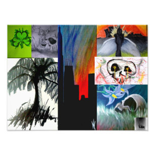 16" X12", papel da foto da coleção do artista
