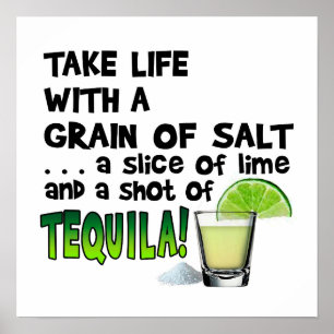 16" X 16" POSTER - VIDA, LIMÃO, SAL, TEQUILA!
