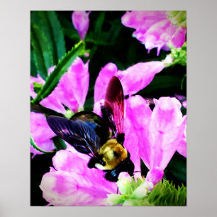 16" x 20" coleção dos olhos da abelha do poster