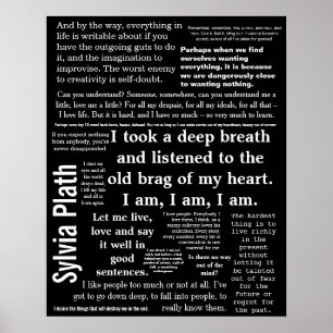 16" x 20", papel de poster do valor (Matte)