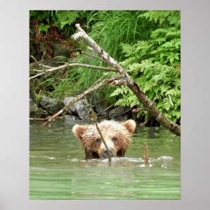 16x20 Papel Poster (Matte) de ursinho