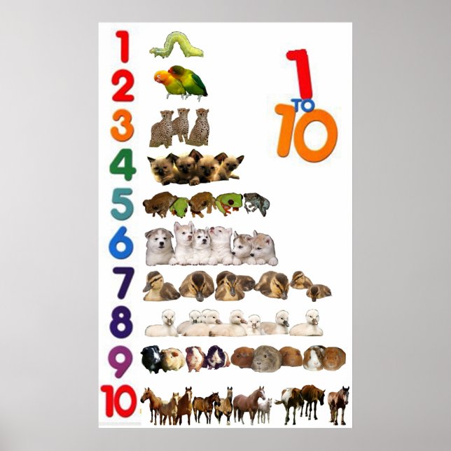 1 - 10 Números Poster (Frente)