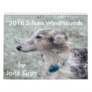 1 2016 Windhounds macios pelo calendário das