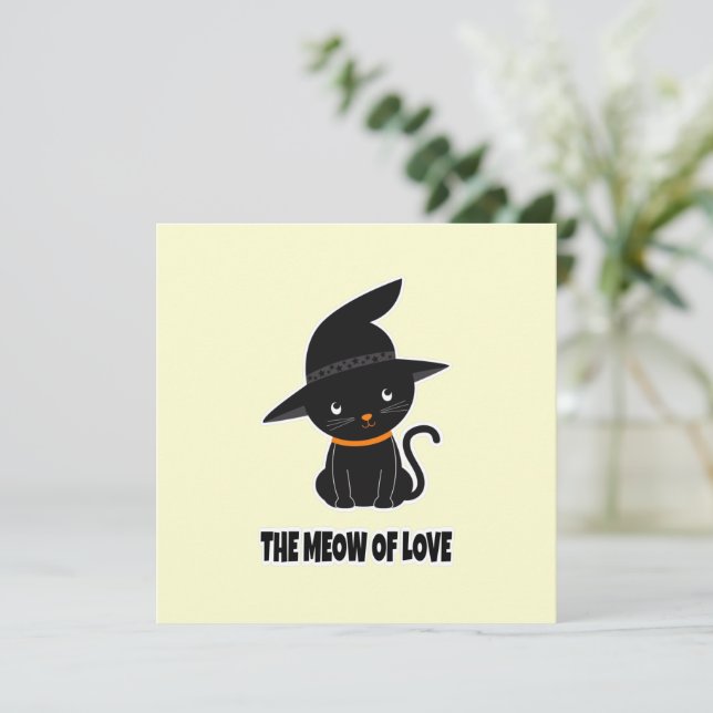 1.Gato preto bonito e bonito miado de amor (Em pé/Frente)