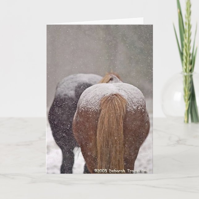 2005 vencedor do lugar da foto segunda do cartão (Frente)