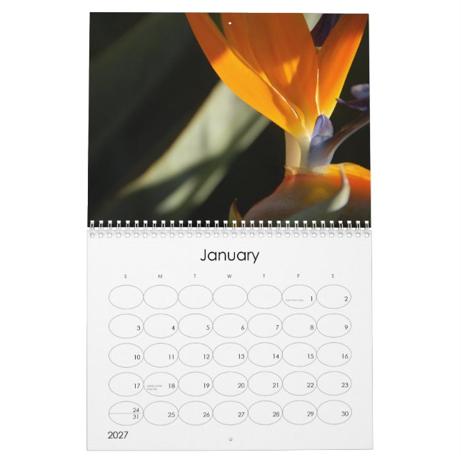 2010 calendários florais (Jan 2027)