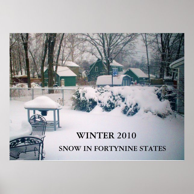 2010, NEVE EM FORTININE ESTADOS poster (Frente)