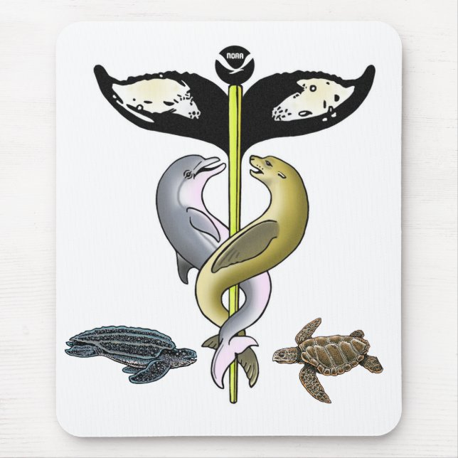 2010 NMAHC Mousepad (Frente)