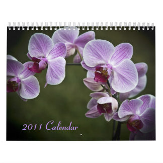 2011 calendário - flores