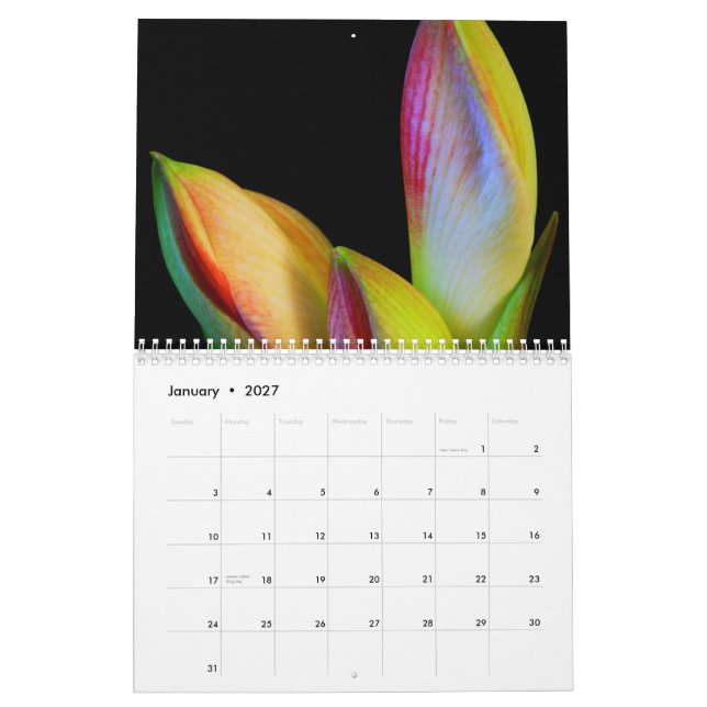 2011 calendário - flores (Jan 2027)