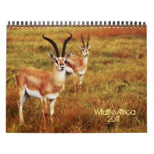 2011 calendários - animais selvagens África
