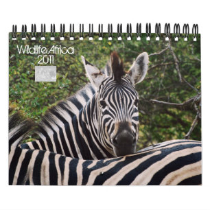 2011 calendários - animais selvagens África -