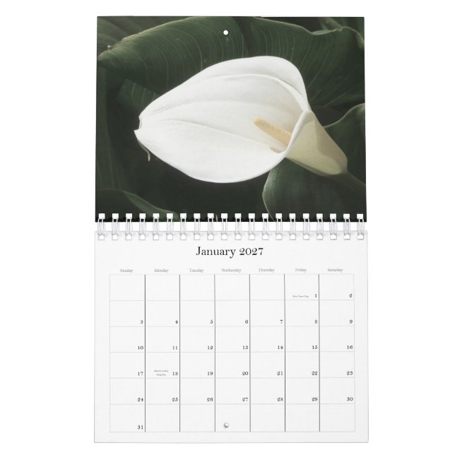2011 calendários florais (Jan 2027)