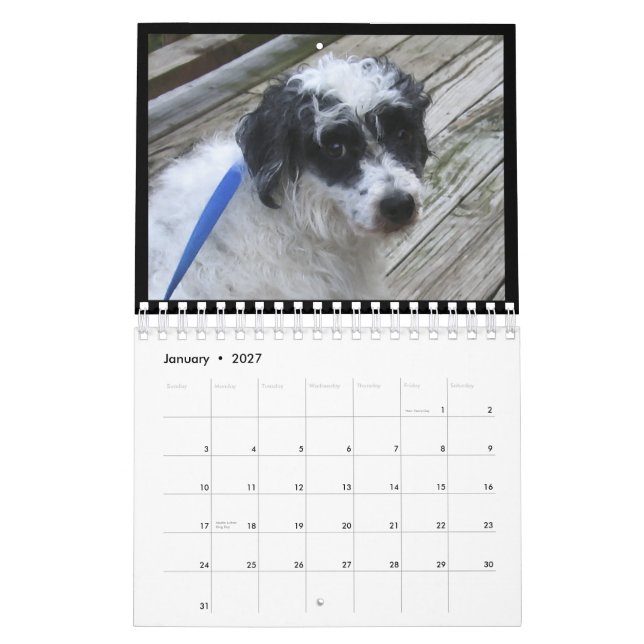 2012 calendário para cães sem pêlos (Jan 2027)