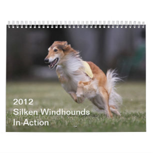 2012 Windhounds macios no calendário da ação