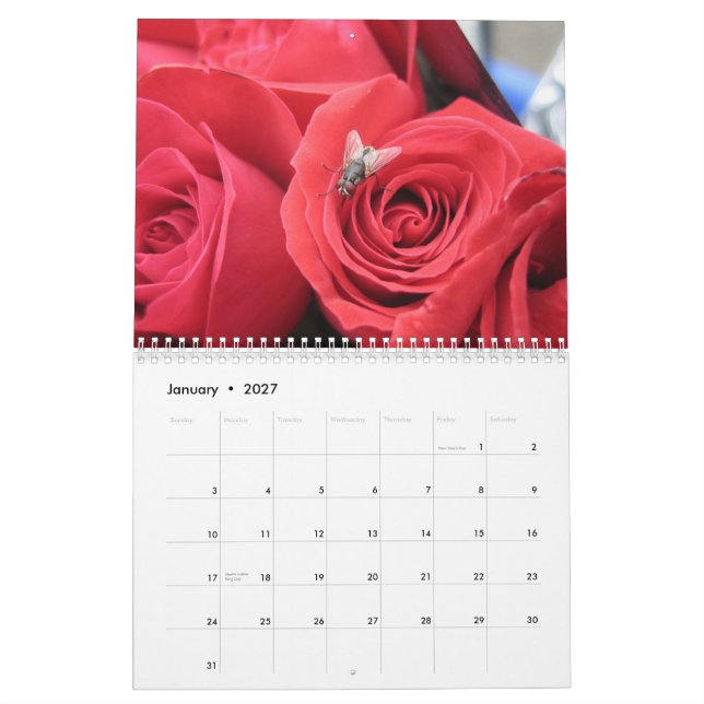 2013-14 calendário dos 12 meses do amante do (Jan 2027)