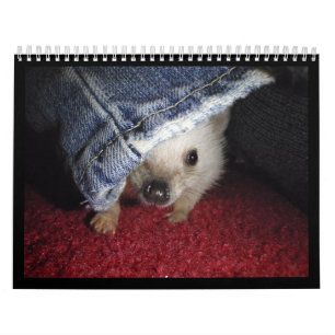 2013 calendário 2