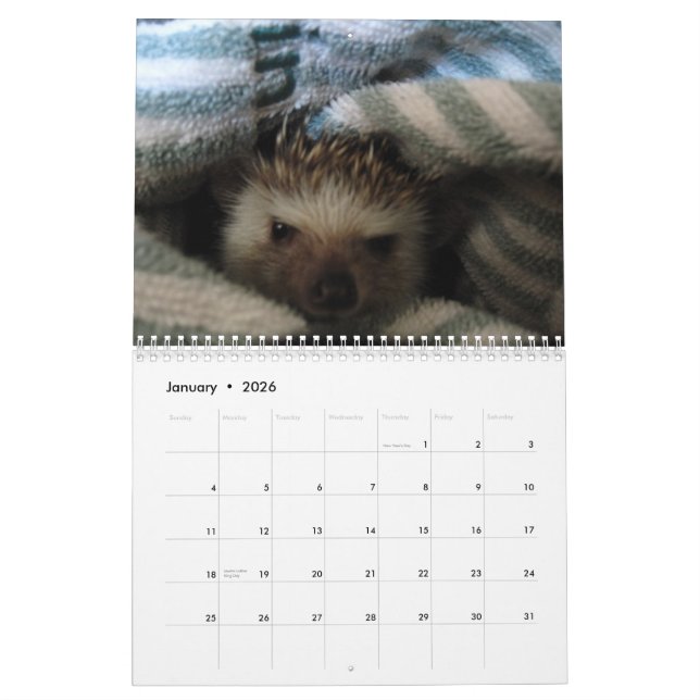 2013 calendário 2 (Jan 2026)