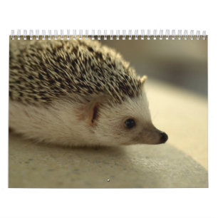 2013 calendário 4