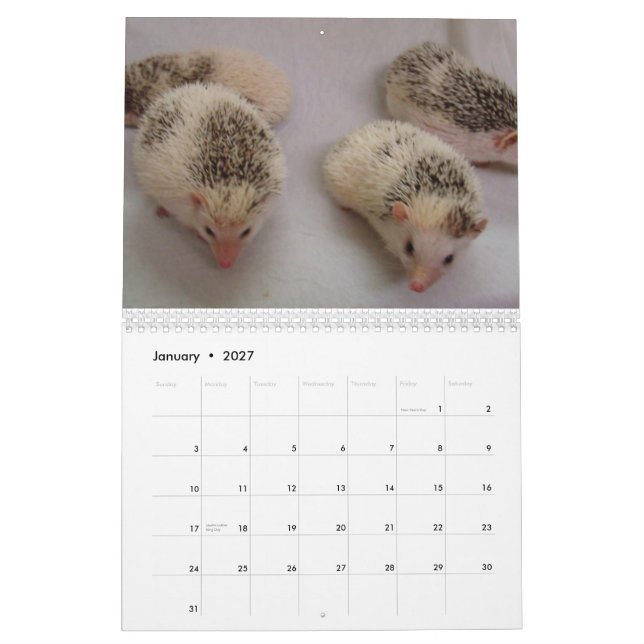 2013 calendário 4 (Jan 2027)