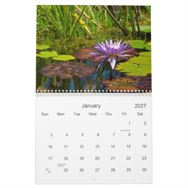 2013 calendário - a coleção de Shotwell mim (Jan 2027)