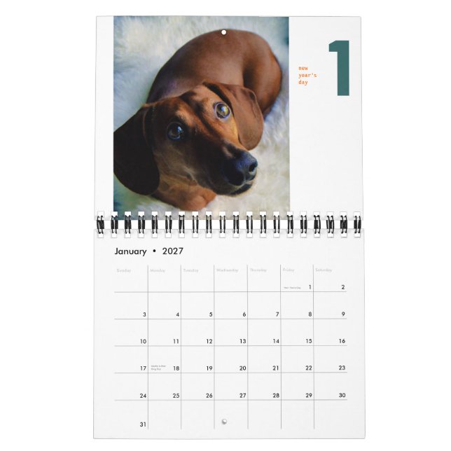 2013 calendário do Dachshund - chumley minúsculo (Jan 2027)
