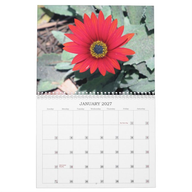 2013 calendário - natureza (Jan 2027)