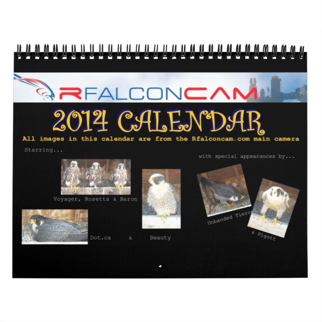 2014 calendário - colagens principais da came (Capa)
