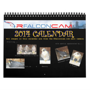2014 calendário - colagens principais da came