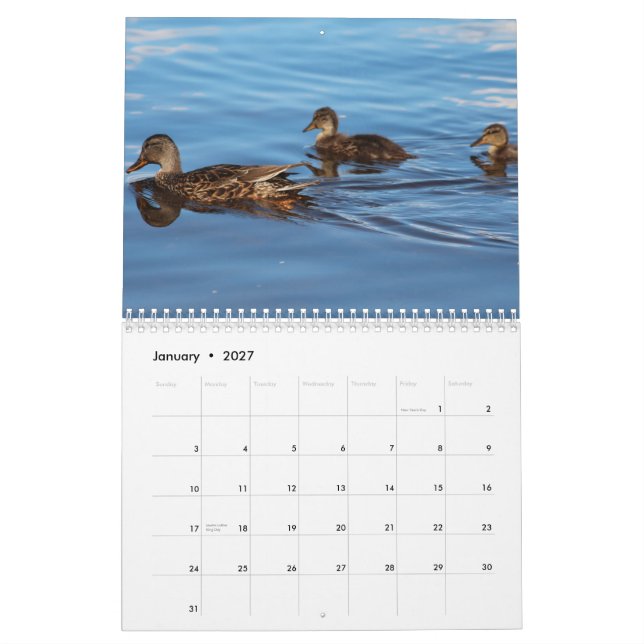 2014 patos do calendário (Jan 2027)