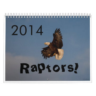 2014 raptores Fort Collins Colorado do calendário