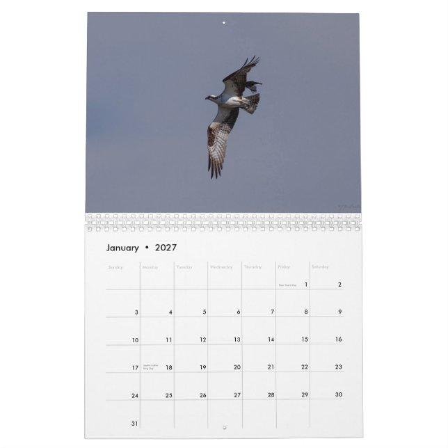 2014 raptores Fort Collins Colorado do calendário (Jan 2027)