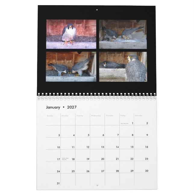 2015 calendário - colagens principais da came (Jan 2027)