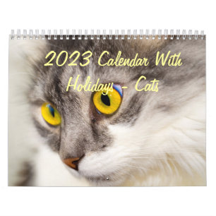 2015 calendário com feriados - gatos
