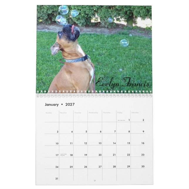 2015 calendários patetas do pugilista (Jan 2027)