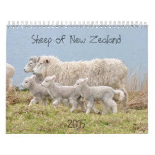 2015 carneiros do calendário de Nova Zelândia