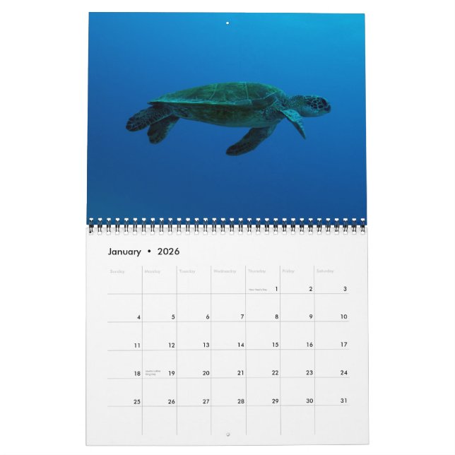 2015 Tartarugas do Calendário do Mar de Coral (Jan 2026)