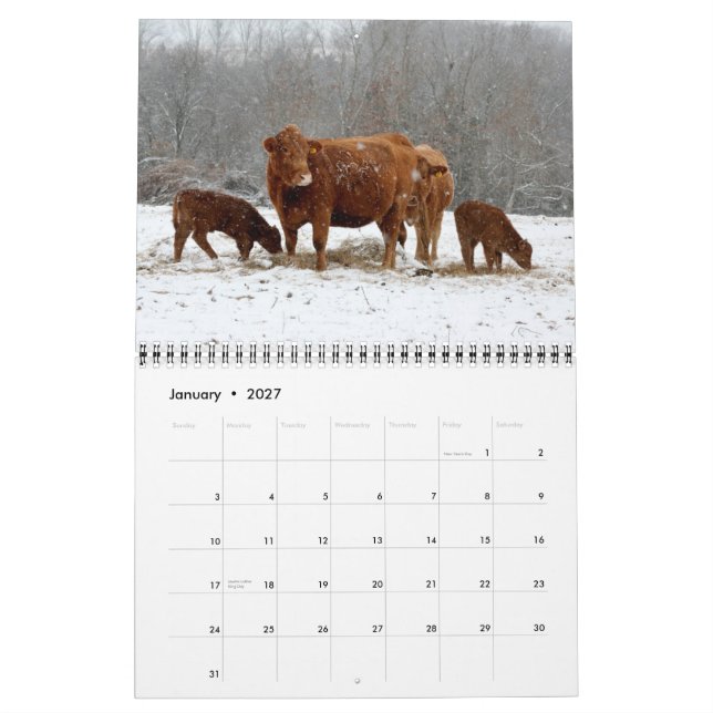 2015 vacas do calendário (Jan 2027)