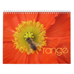2016 a cores - calendário