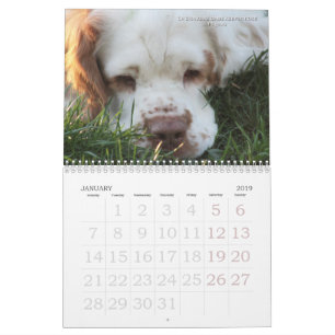 2019 calendário de Erinveine - Spaniels de Clumbe